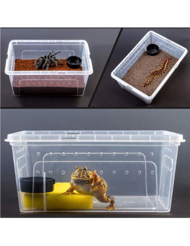 Caja de Alimentación para Reptiles Hamiledyi 32x21.8cm