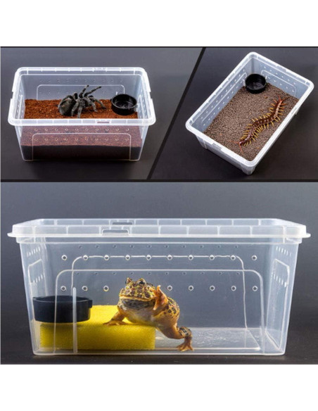 Caja de Alimentación para Reptiles Hamiledyi 32x21.8cm
