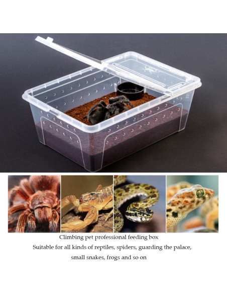 Caja de Alimentación para Reptiles Hamiledyi 32x21.8cm