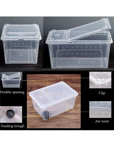 Caja de Alimentación para Reptiles Hamiledyi 32x21.8cm