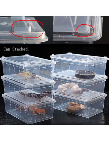 Caja de Alimentación para Reptiles Hamiledyi 32x21.8cm