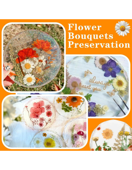 Moldes de Posavasos de Silicona ZQYSING 4 Piezas 13.2 cm