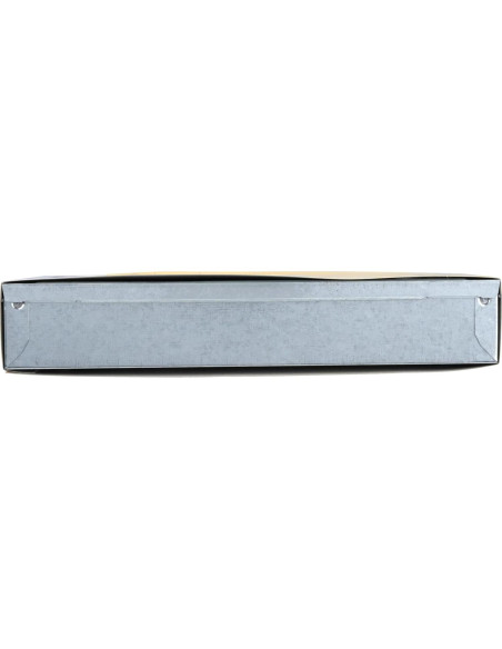 Trampa para Ratones Victor M310S Multi-Catch - Captura Humanitaria