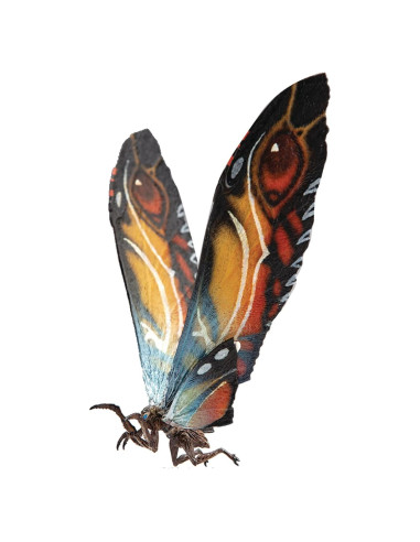 Figura de Acción Mothra Hiya Toys 36 cm 11 Puntos de Articulación