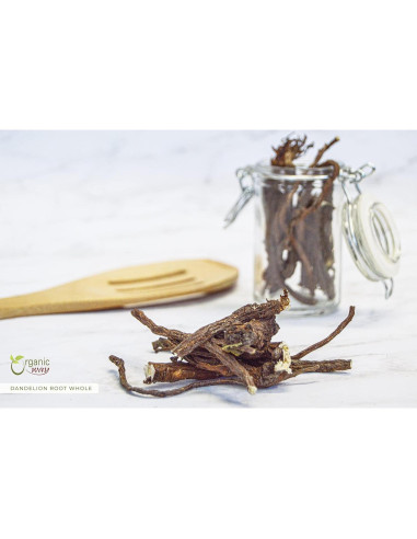 Raíz de Diente de León Orgánica Entera 0.45 kg - Organic Way