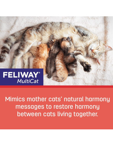 FELIWAY MultiCat Recarga 48ml - Difusor de Feromonas para Gatos