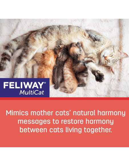 FELIWAY MultiCat Recarga 48ml - Difusor de Feromonas para Gatos