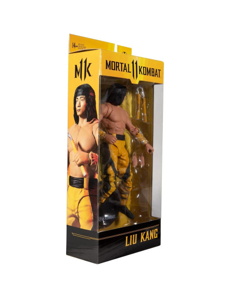Figura de acción Liu Kang Abad Luchador McFarlane 27.9 cm Figura de acción Liu Kang Abad Luchador McFarlane 27.9 cm