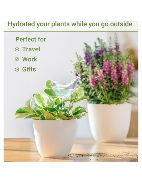 Esferas de Riego Automático Mkono para Plantas - 25.4 cm