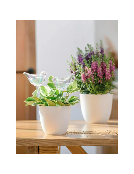 Esferas de Riego Automático Mkono para Plantas - 25.4 cm