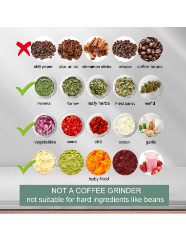 Molino de Hierbas Eléctrico Beerfingo 100ml Verde Morandi