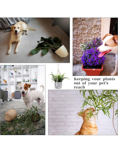 Colgador de Plantas de Macramé Sliverdew 50 cm 2 Piezas Boho