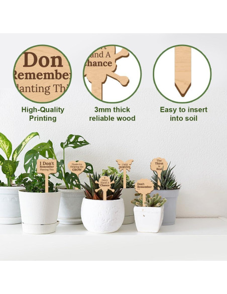 15 Etiquetas de Plantas de Madera GOMAKERER - 15 Estilos Divertidos