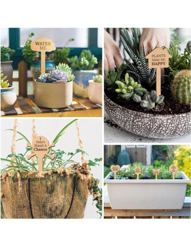 15 Etiquetas de Plantas de Madera GOMAKERER - 15 Estilos Divertidos