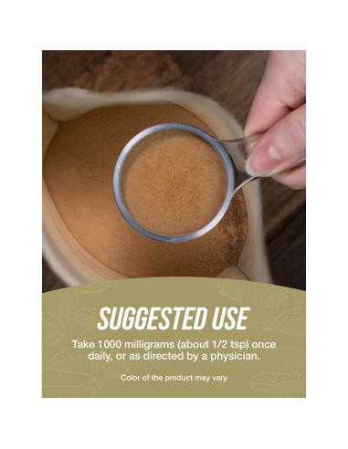 Extracto de Hongo Chaga en Polvo BulkSupplements 500g Sin Gluten