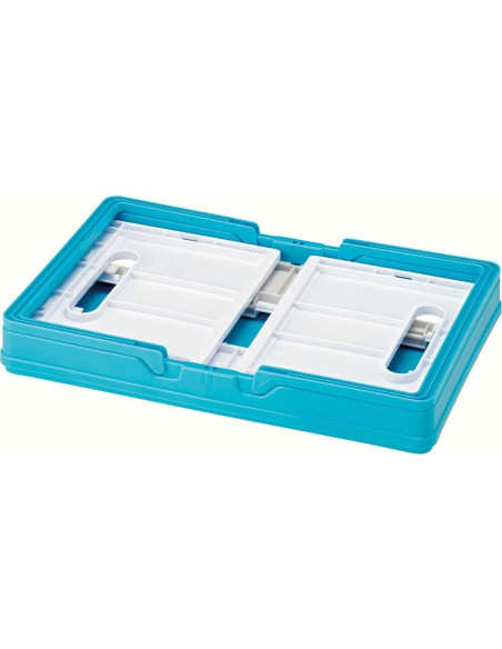 Caja de Almacenamiento Plegable Skater Doraemon 38x25x19.5cm