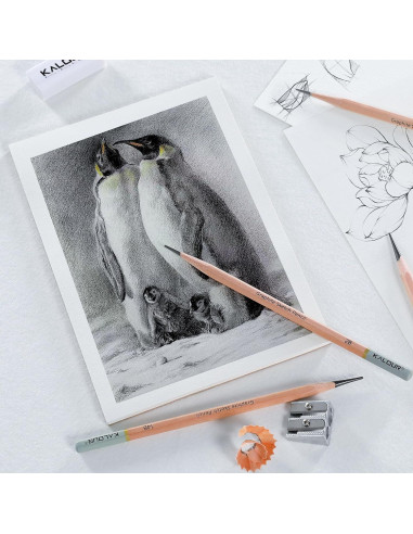 Set de Lápices de Dibujo Profesional KALOUR 18 Piezas