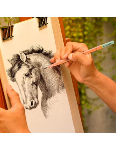 Set de Lápices de Dibujo Profesional KALOUR 18 Piezas