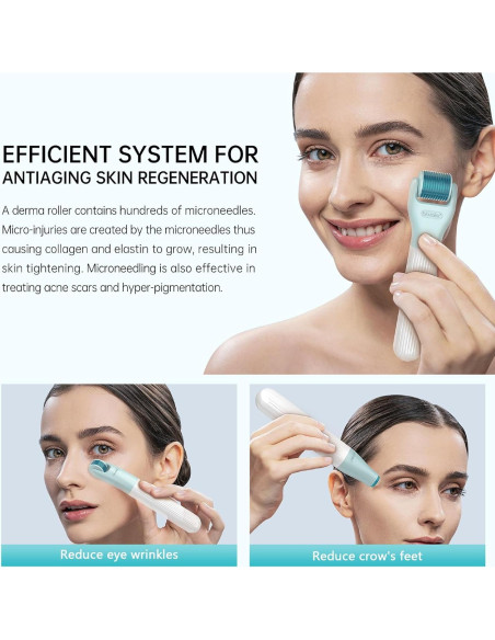 Kit Derma Roller 10 en 1 CIRNCR con 9 Cabezas Reemplazables Kit Derma Roller 10 en 1 CIRNCR con 9 Cabezas Reemplazables