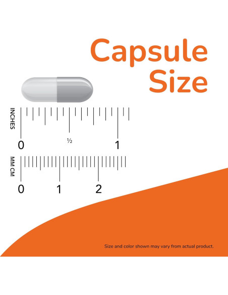 Suplemento Castaño de Indias NOW Foods 300 mg 90 Cápsulas Veganas