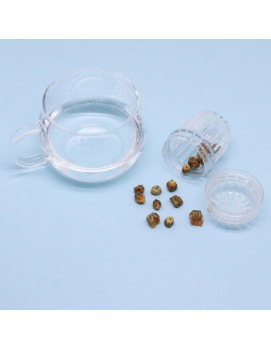 Infusor de Frutas BUXIMN 2 Pcs para Botellas de Boca Ancha