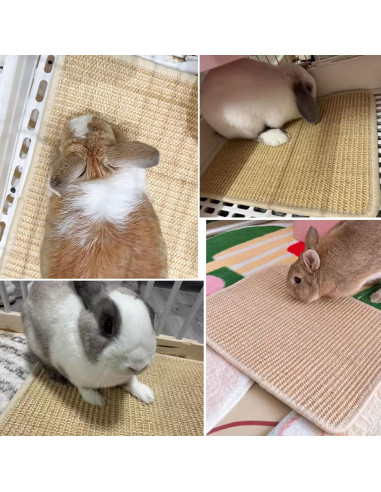 Alfombra de Rascado Oncpcare para Conejos 61x41 cm Natural