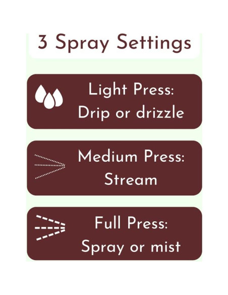 Aceite de Aguacate La Tourangelle 250 ml + Spray 150 ml