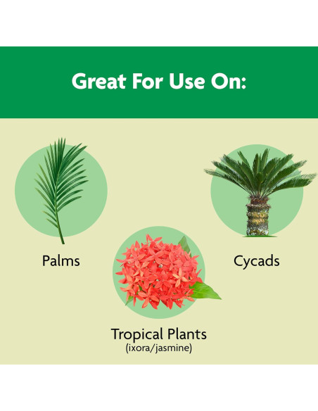 Alimento para Plantas de Palma Miracle-Gro 2.04 kg - Nutre Palmeras