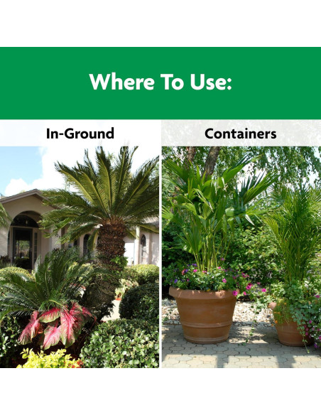 Alimento para Plantas de Palma Miracle-Gro 2.04 kg - Nutre Palmeras