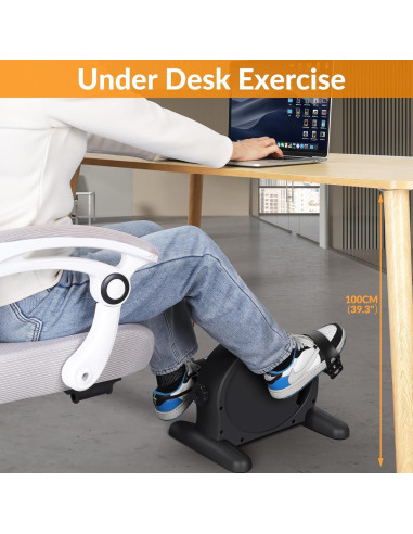 Bicicleta de Ejercicio RYGEO MC04 Compacta con Monitor LCD