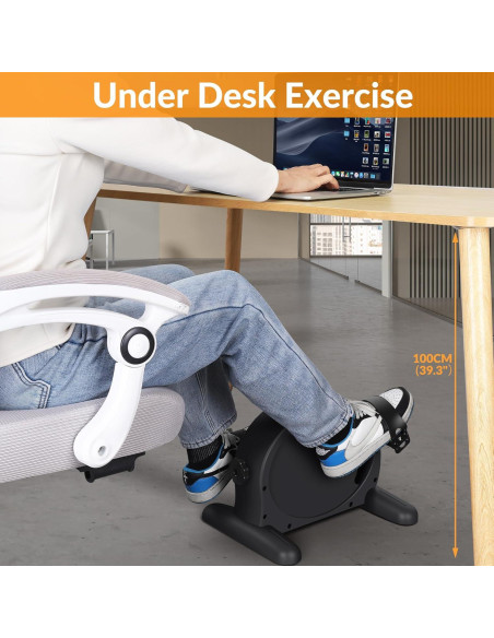 Bicicleta de Ejercicio RYGEO MC04 Compacta con Monitor LCD