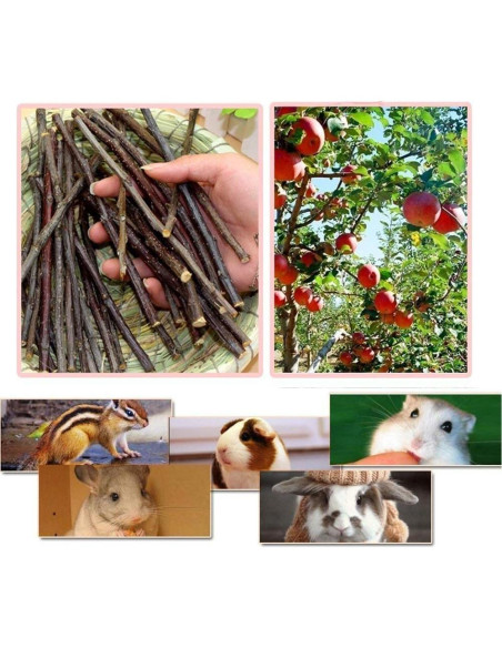 Ramas de Manzano Natural William Craft 100g para Mascotas