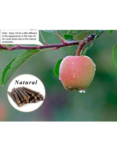 Ramas de Manzano Natural William Craft 100g para Mascotas