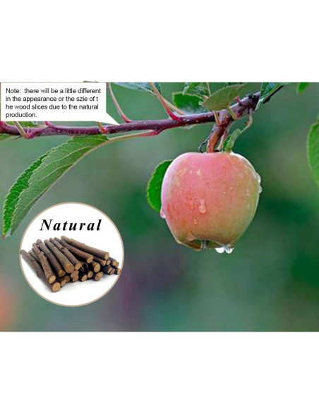 Ramas de Manzano Natural William Craft 100g para Mascotas