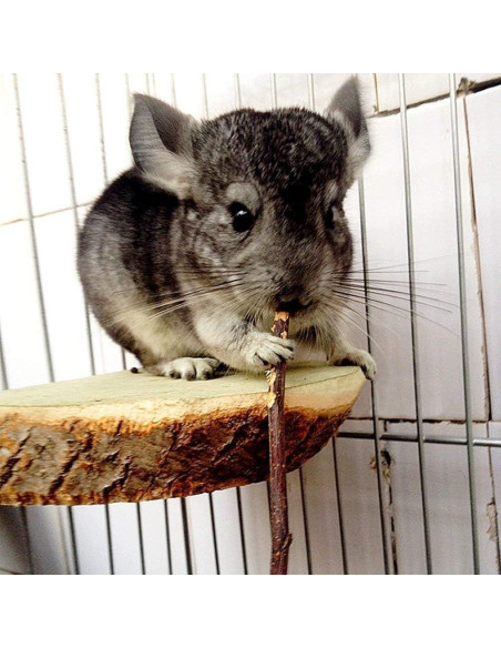 Ramas de Manzano Natural William Craft 100g para Mascotas