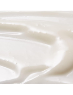 Loción Bronceadora Gradual TAN-LUXE 95.2g Libre de Tóxicos 2