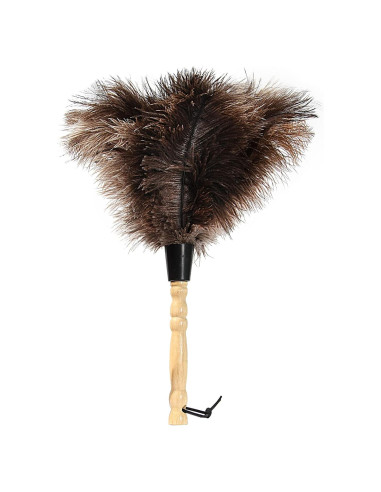 Plumero de Plumas de Avestruz iHUFeather 35.56 cm Ecológico
