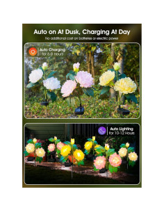 Luces de Jardín Solar Brightown - Paquete de 3 Peonías LED 2