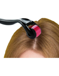 Rodillo Derma 0.25mm Addabst | 540 Agujas de Titanio 2