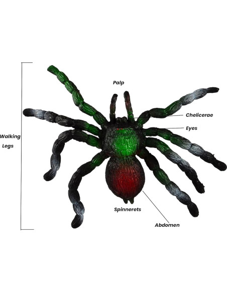 Araña de Goma Estirable BOHS - Juguete Realista para Halloween