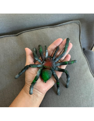 Araña de Goma Estirable BOHS - Juguete Realista para Halloween