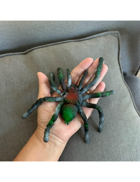 Araña de Goma Estirable BOHS - Juguete Realista para Halloween