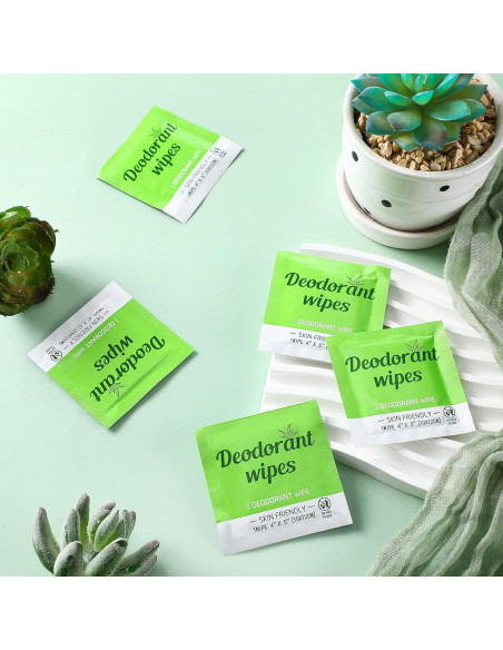 Toallitas Desodorantes Timgle 100 Pcs Aloe Vera Viaje