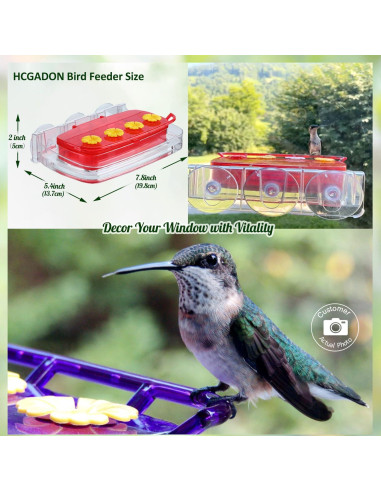 Comedero para Colibríes HCGADON Ventana 0.29L Rojo Antihormigas