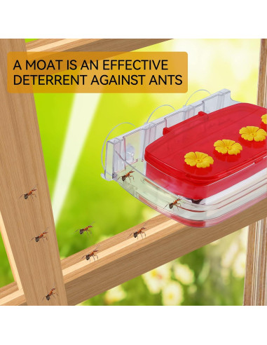 Comedero para Colibríes HCGADON Ventana 0.29L Rojo Antihormigas