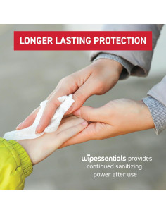 Toallitas Desinfectantes WipeEssentials - 90 Unidades - Viaje 2