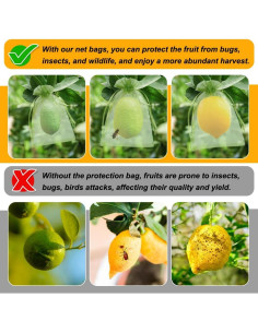 Bolsas de Protección para Frutas Shintop 100 Pcs 10x15 cm Verde 2