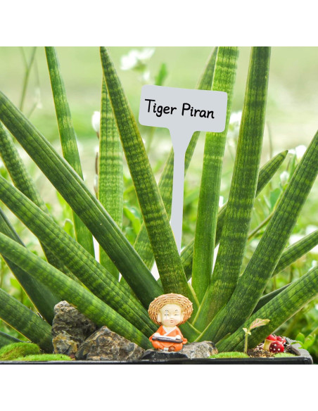 Etiquetas de Planta HOVEOX 24 Pcs Plástico Blanco 30.48 cm