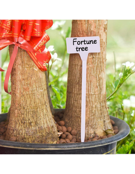 Etiquetas de Planta HOVEOX 24 Pcs Plástico Blanco 30.48 cm