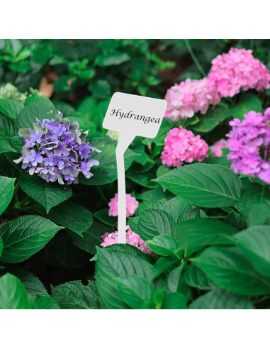 Etiquetas de Planta HOVEOX 24 Pcs Plástico Blanco 30.48 cm